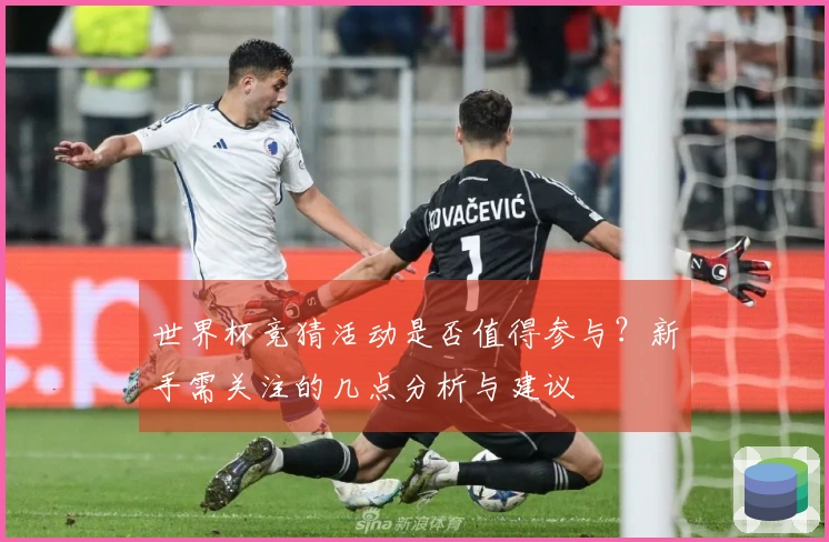 世界杯竞猜活动是否值得参与？新手需关注的几点分析与建议