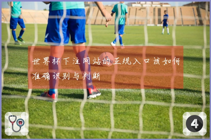 世界杯下注网站的正规入口该如何准确识别与判断