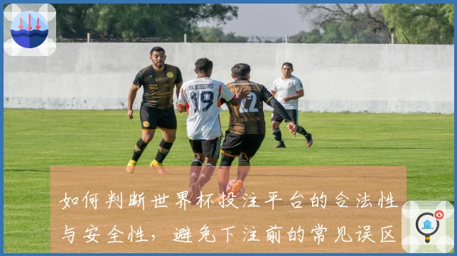 如何判断世界杯投注平台的合法性与安全性，避免下注前的常见误区