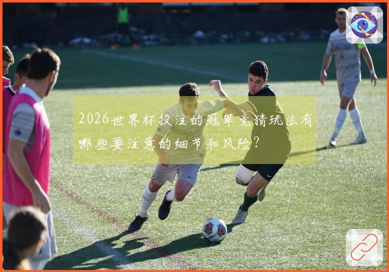 2026世界杯投注的冠军竞猜玩法有哪些要注意的细节和风险？