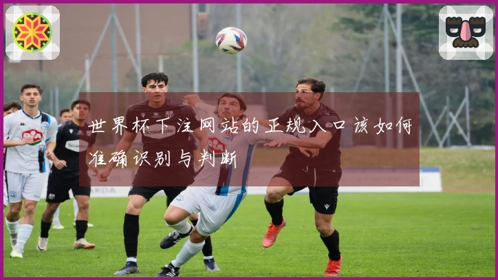 世界杯下注网站的正规入口该如何准确识别与判断