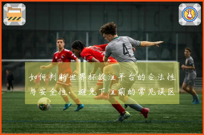如何判断世界杯投注平台的合法性与安全性，避免下注前的常见误区